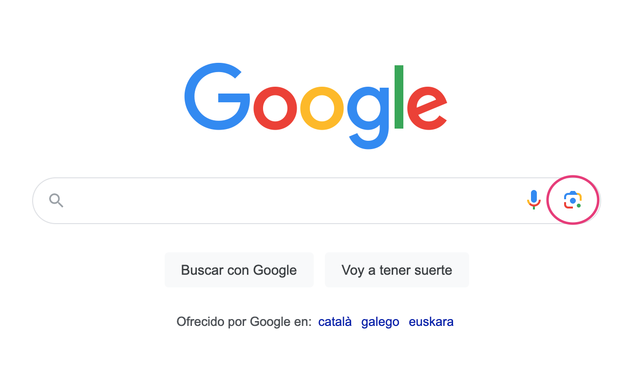 Google Lens en el Ordenador