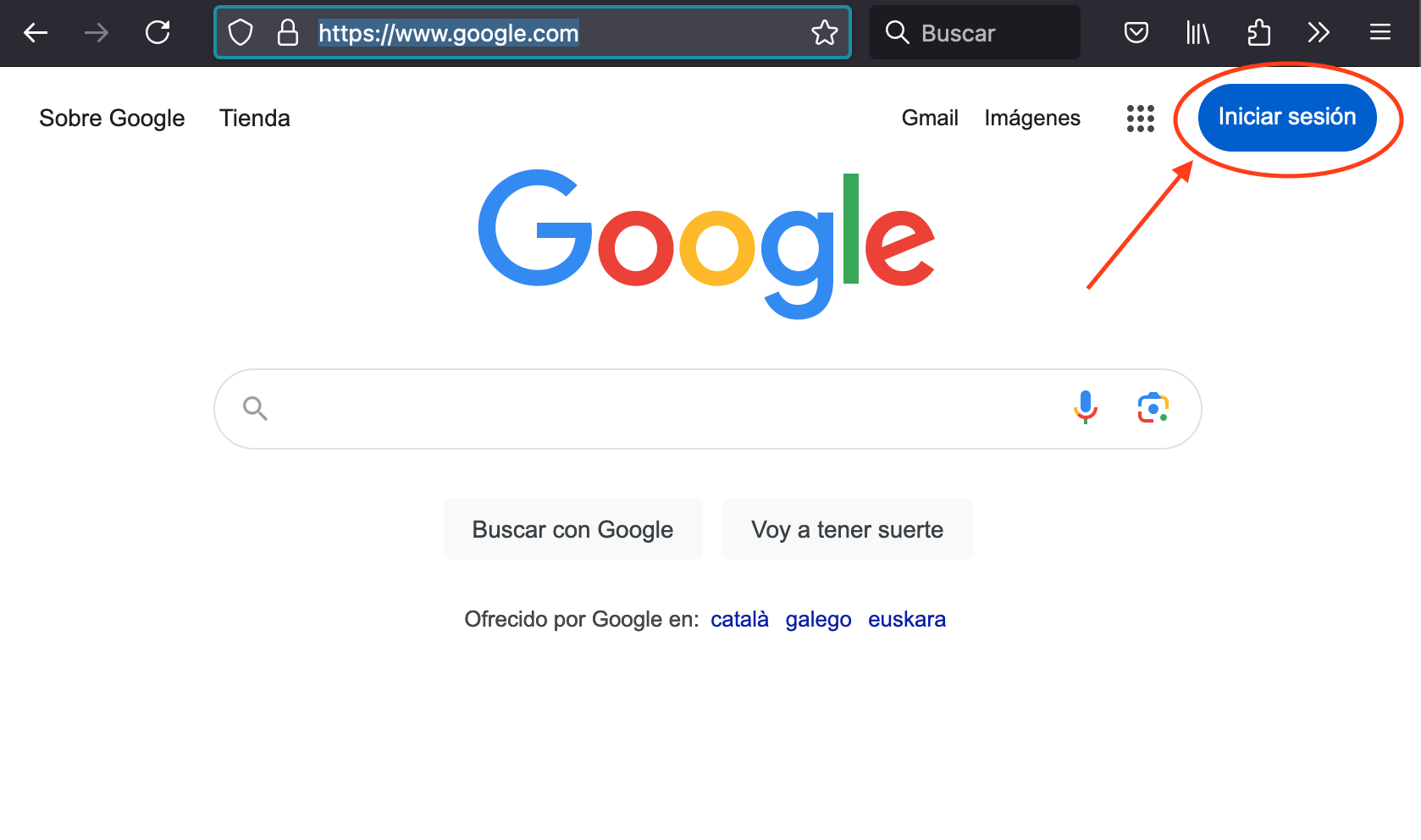Inicio de Google