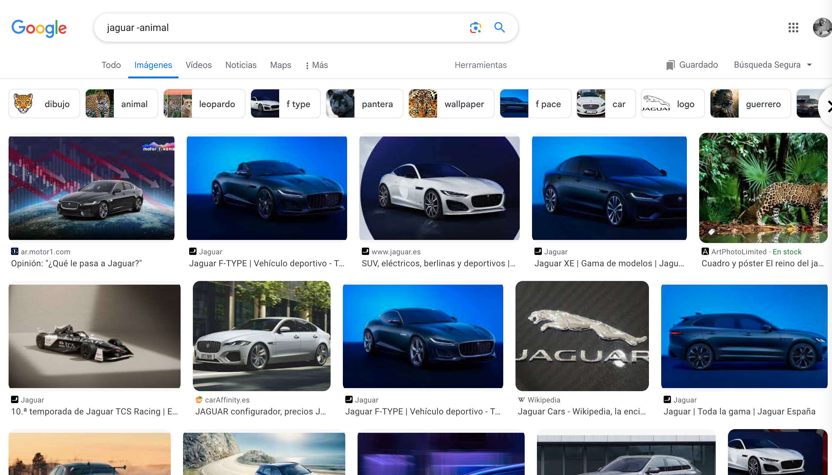 Búsqueda de Jaguar el coche