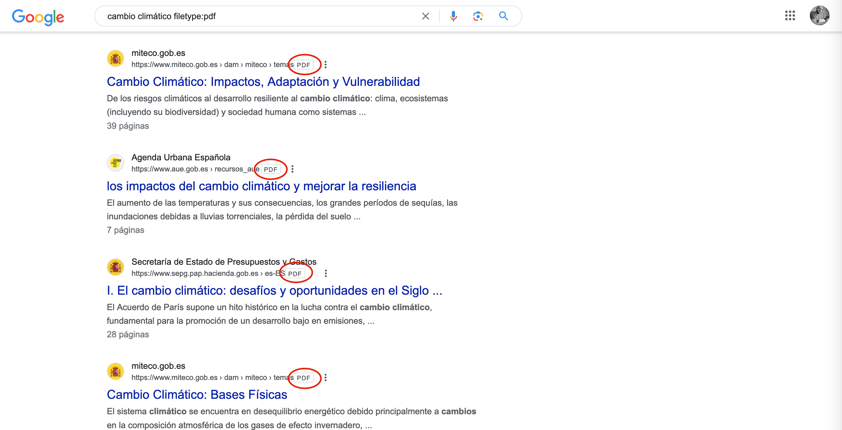Búsqueda por tipo de archivo